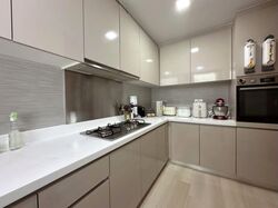 Blossom Residences (D23), Condominium #580264501